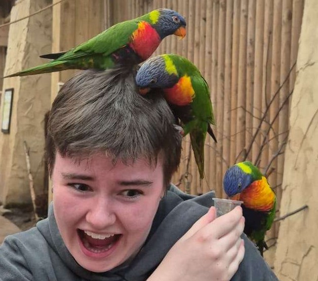 Me getting harrassed by birds
