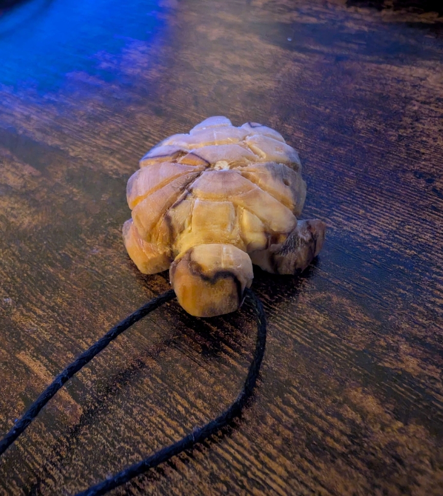 Turtle necklace carved out of wood
